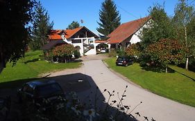 House Ilija Hodak